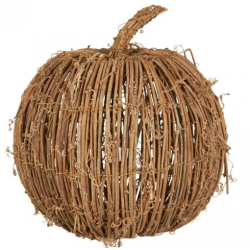 Dekoracyjna Dynia z Gałęzi...