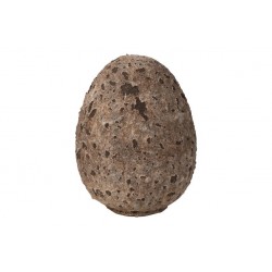 Jajko Jajo Dekoracja...