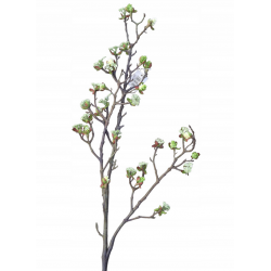 copy of Lawenda Gałązka...