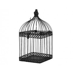 copy of Klatka Dla Ptaków...